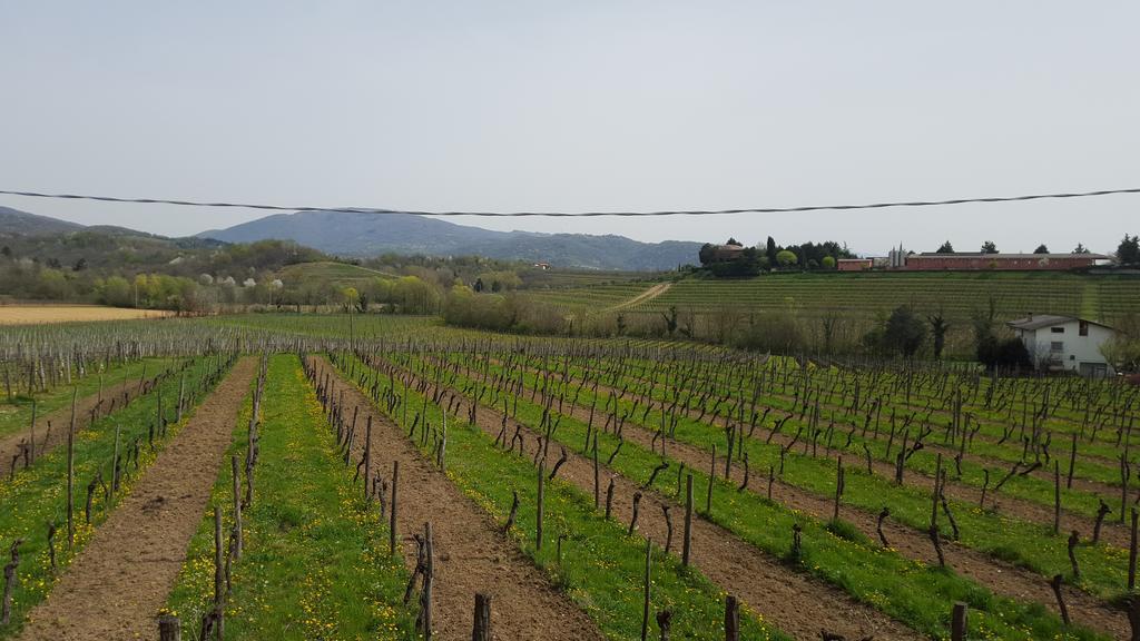 Borgo Dei Sapori Villa Cividale del Friuli Exterior foto